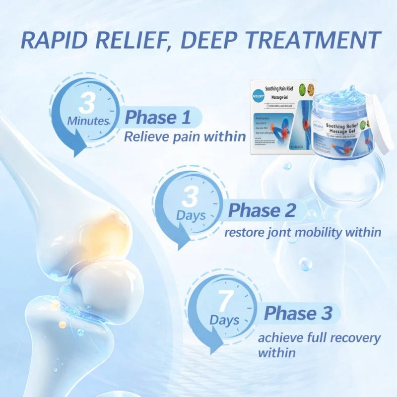 NESLEMY® Joint Relief Gel – Natural Herbal Ointment Wellness